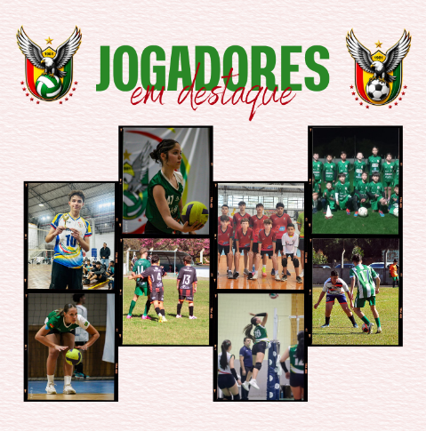 Jogadores em destaque